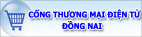 10- Cổng thương mại điện tử ĐN